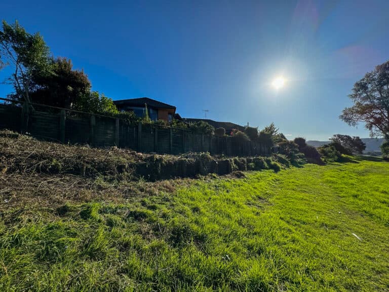 Land Clearing Tauranga